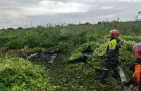 Спасение лося в Пинском раёне