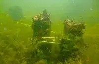 facebook.com/SeaPegas