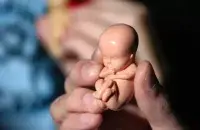 Лялечны эмбрыён / www.snopes.com