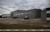 БЕЛТА