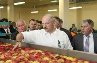 &nbsp;Александр Лукашенко в Александрии. Фото: president.gov.by