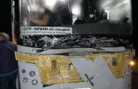 Аўтобус збіў лася пад Баранавічамі / nashkraj.by
