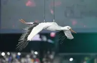 Opening of the European Games in Minsk / Euroradio​