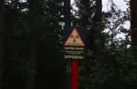 Рашэнне рабіць прасекі ў радыеактыўным запаведніку выглядае вельмі дзіўна / obzoor.by