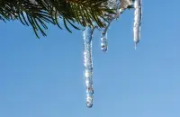 У сакавіку / Ілюстрацыйнае фота pixabay.com
