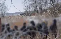 Скрыншот з відэа
