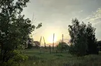Лясы ў Беларусі / Еўрарадыё