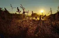 Летая раніца / Еўрарадыё