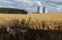 Возле Белорусской АЭС в Островецком районе / Из архива Еврорадио​