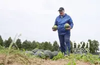 Лукашэнка з кавунамі / &quot;Пул Першага&quot;​