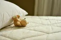 Літоўцам прывязуць сотні падушак і двухярусных ложкаў&nbsp;