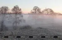 Nature in Belarus. Photo: BELTA