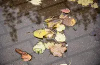 Восень у Мінску / Еўрарадыё