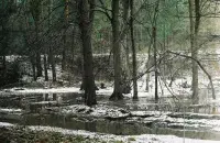 Снежань / Аляксей Карпека, Еўрарадыё