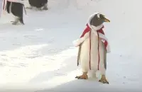 Скрыншот з відэа CCTV +
