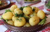 Куды і чаму знікла беларуская бульба

