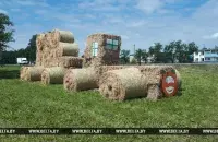 Фото: БЕЛТА