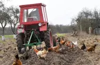 Фота трактара носіць ілюстрацыйны характар / Еўрарадыё