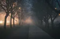 Туман / pixabay.com
