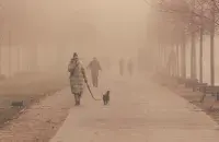 Туман