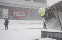 Гомельшчына пад снегам