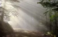 Туман