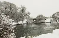 Зіма ў Беларусі