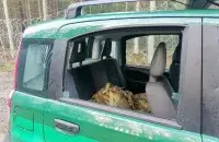 У службовым аўтамабілі былі разбітыя шыбы