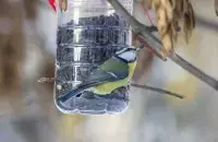 У нашай краіне пахаладае