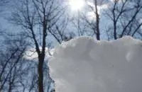 Адліга