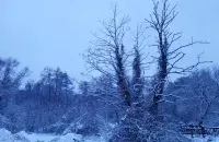 Зіма ў Беларусі