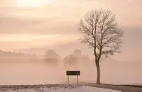 Уначы і раніцай туман будзе амаль па ўсёй краіне

