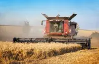 Рост адбыўся негледзячы на дзяржаўную падтрымку

