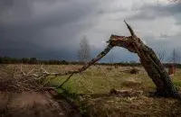 Вясна ў Беларусі


&nbsp;

