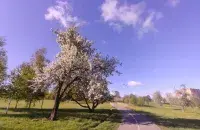 Весна в Минске
