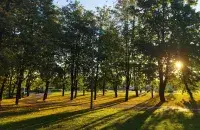 Прырода Беларусі
