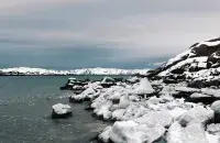 Арктыка
