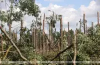 Последствия урагана в Ивьевском районе Гродненской области
