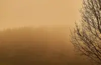 Ці дасягнуць хмары пылу да Беларусі?
