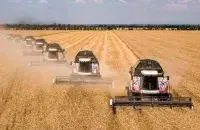 Поле

