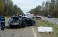 Больш за 200 дзяцей пацярпелі ў ДТЗ у Беларусі
