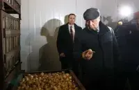 Раман Галоўчанка аглядае запасы цыбулі
