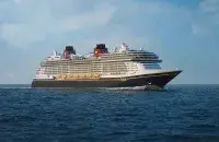 Disney Treasure
