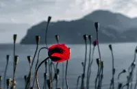 Крым
