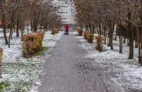 У Беларусі выпаў першы снег

