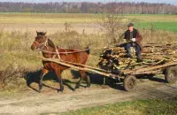 Жанчына патанула ў невялікім вадаёме
