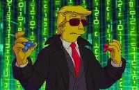 Выборы в США вейки