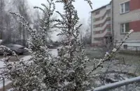 У студзені ў Беларусі
