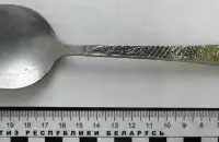 Лыжка, па якой знайшлі дачнага злодзея

