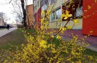 Вясной у Беларусі

